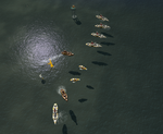 Medium Fleet